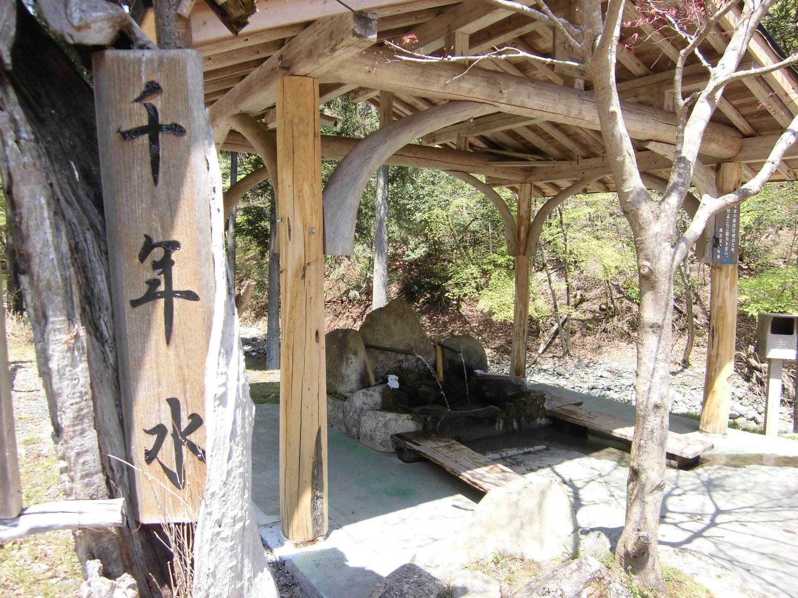 千年も前より飲用されてきたいわれがある | Shiso in Japan