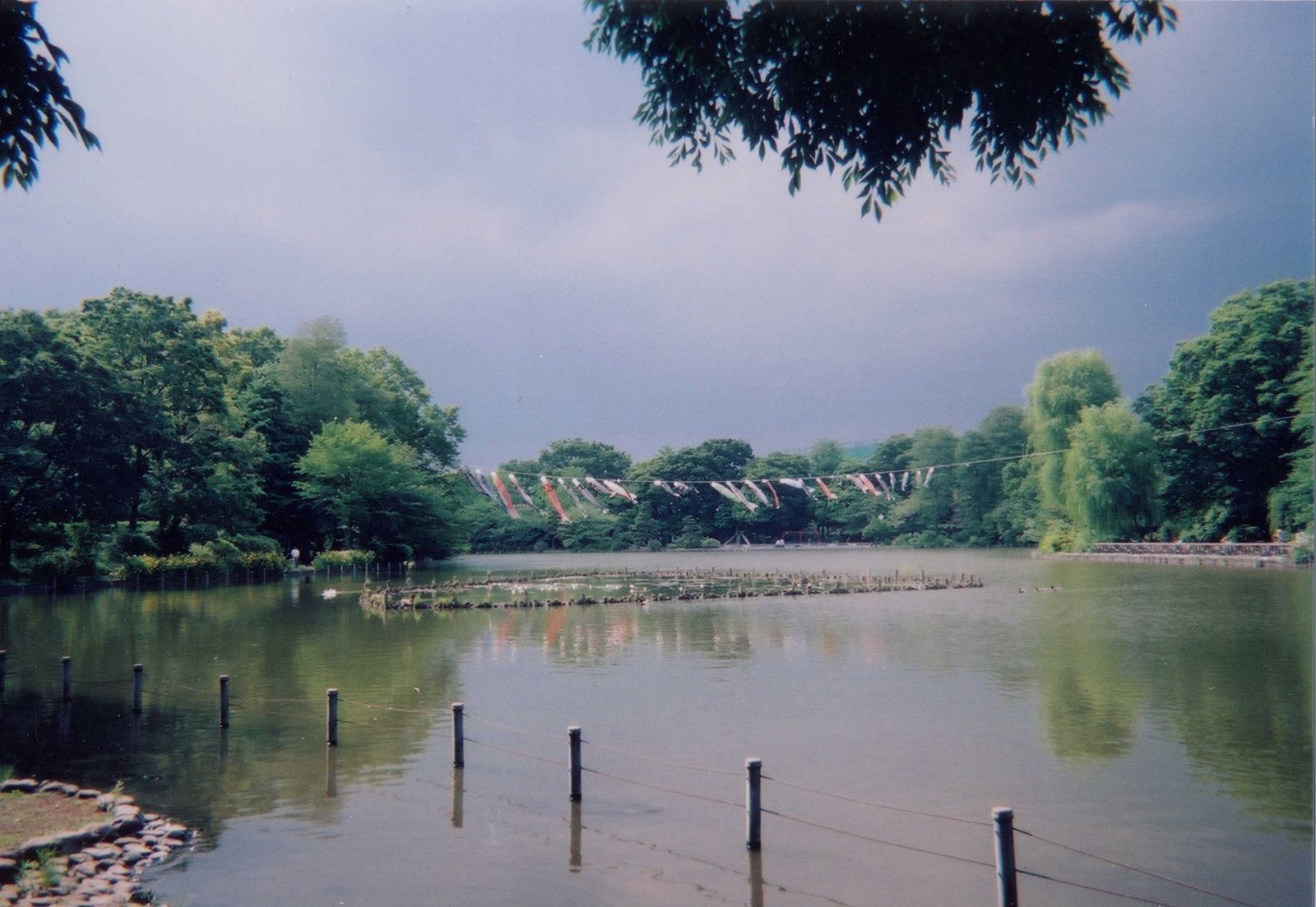 Zenpukuji park | Suginami in Japan
