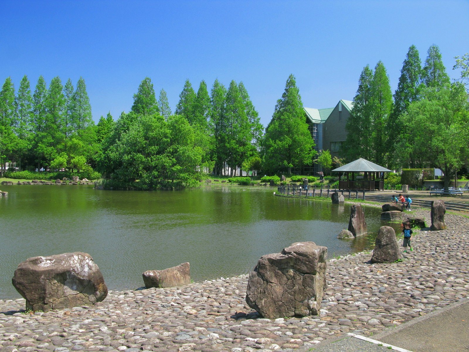 春日部市ja:庄和総合公園の修景池（ja:埼玉県ja:春日部市） | Kasukabe in Japan