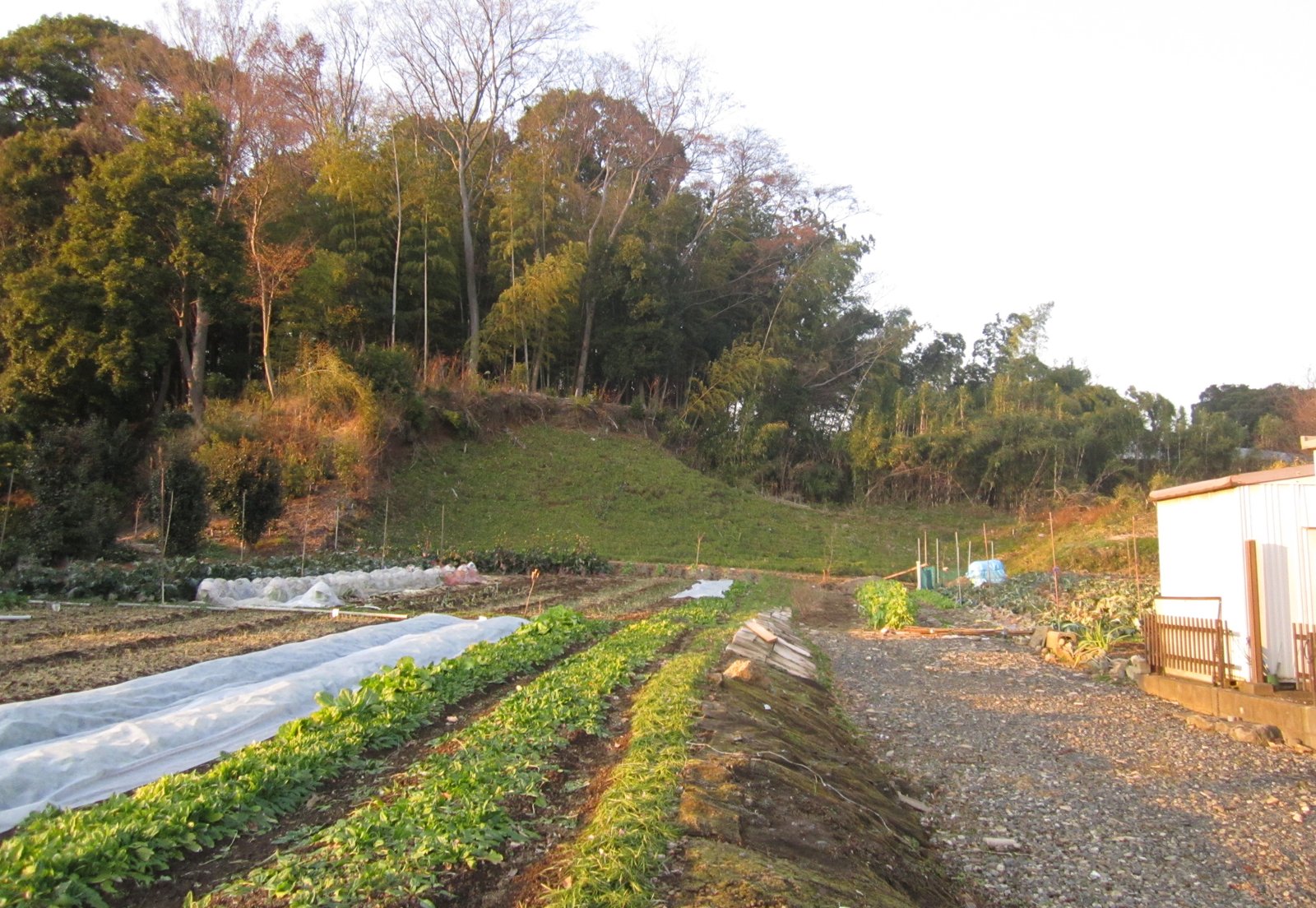 春日部市西部花積台地の崖線。春日部市にはこのような台地状地形が点在している。 | Kasukabe in Japan