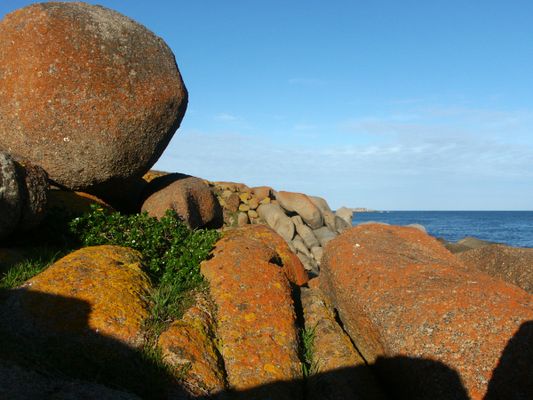 Boulders at sunset on Granite Island, South Australia. For more information, see the Wikipedia article Granite Island (Australia). | Granite Island in Australia