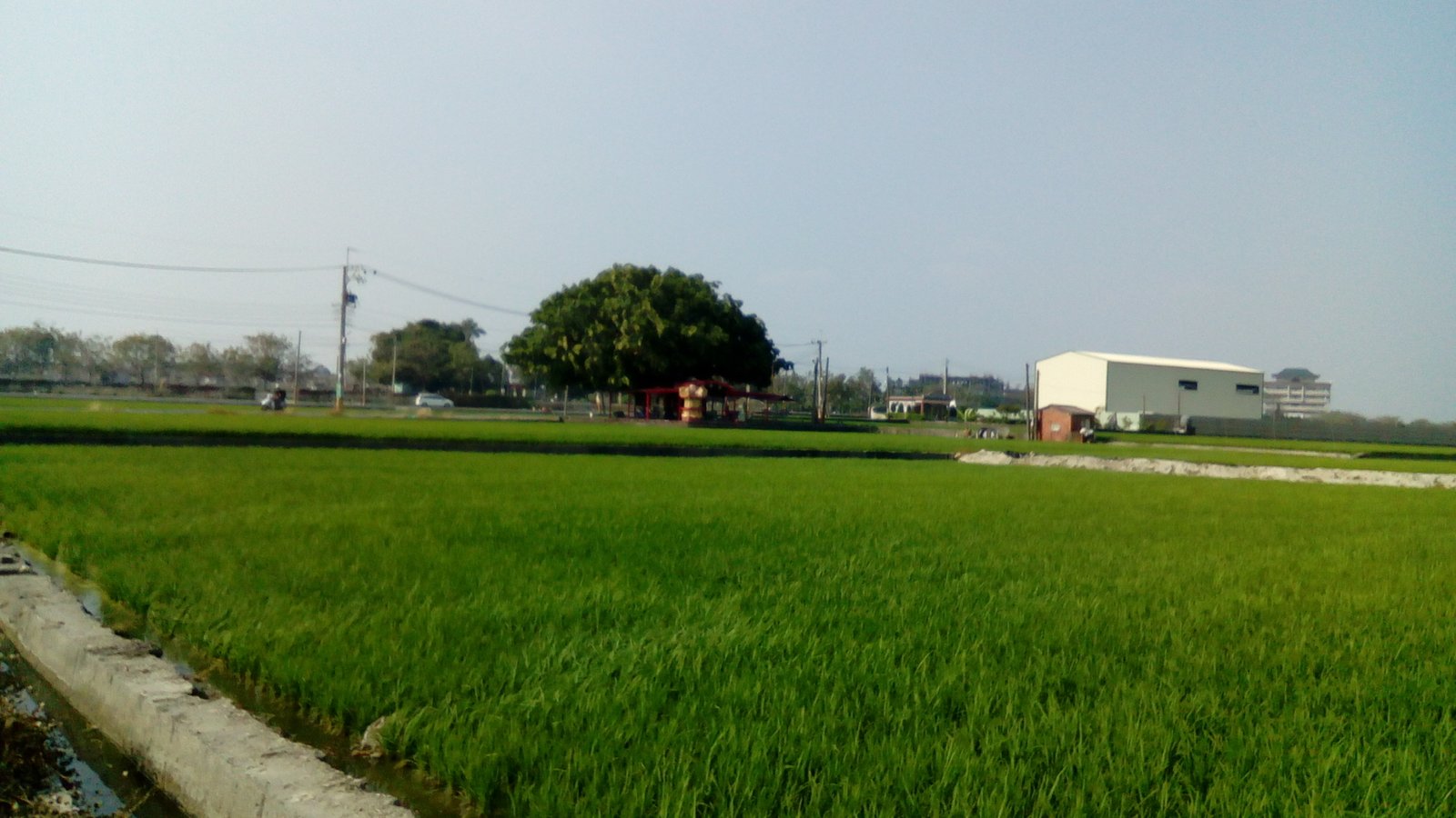 同上  位於地藏寶塔東南側的田園
樹下為土地公廟 | Xinyuan in Taiwan