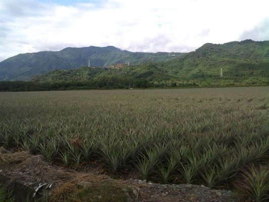 Image of Taiwu in Taiwan