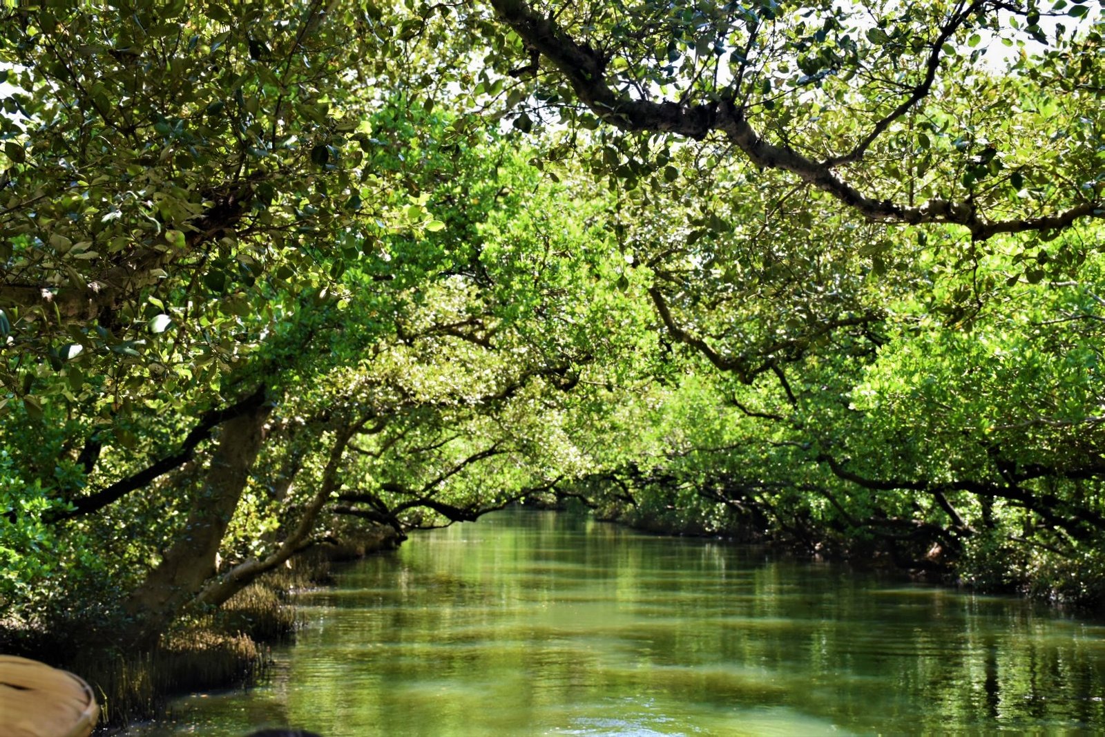 This is a picture of the protected area listed at WDPA under the ID | Annan District in Taiwan