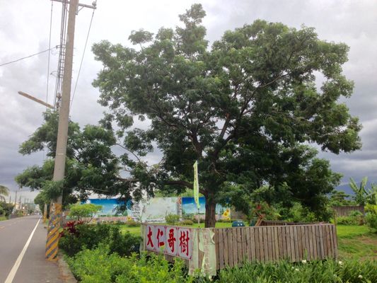 Image of Yanpu in Taiwan