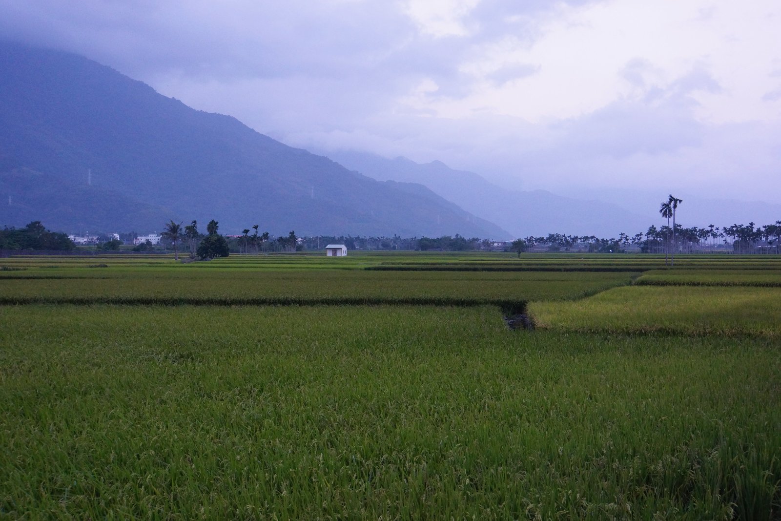 Guanshan  關山 | Guanshan in Taiwan