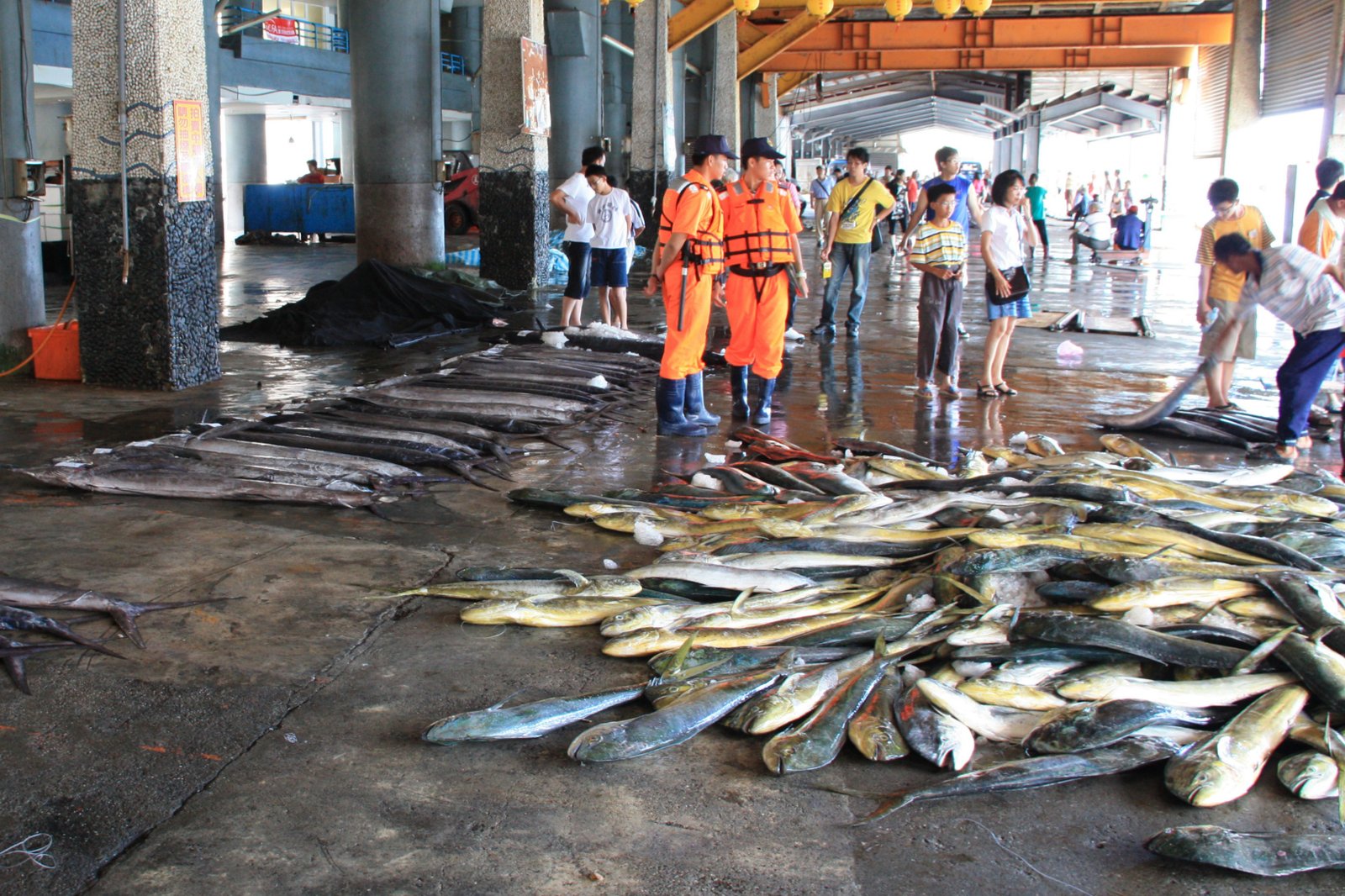 Taitung CountyChenggongChenggong Fishing HarborCustoms officers or coast guard?To be clarified! | Chenggong in Taiwan