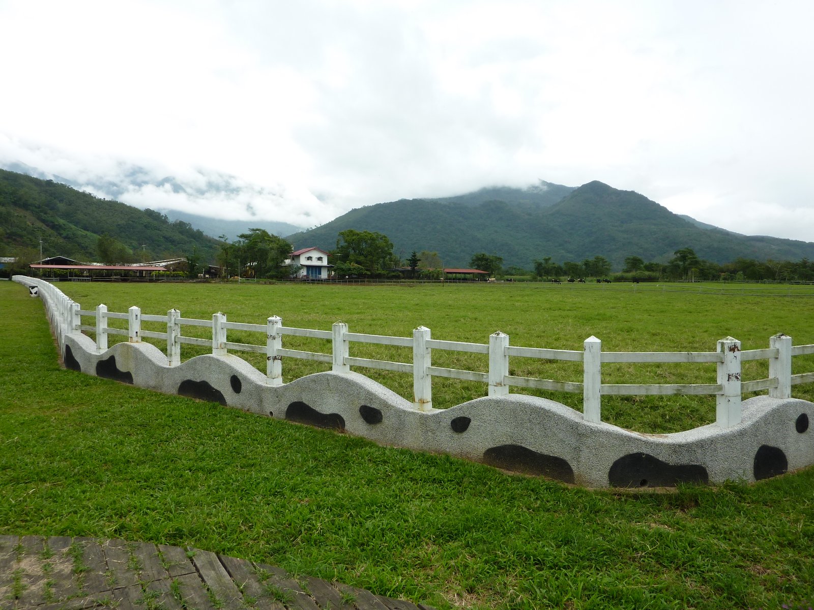 自己拍攝 | Ruisui in Taiwan