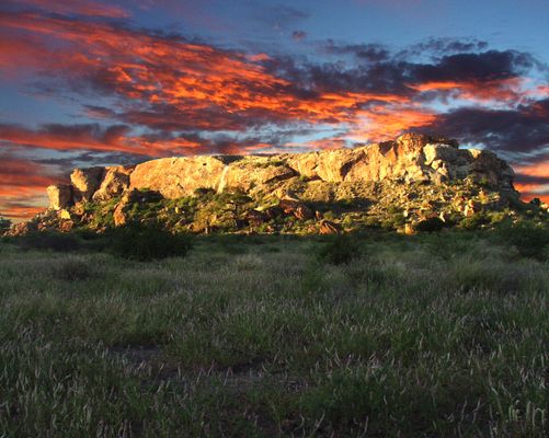 Image of Mapungubwe National Park in South Africa