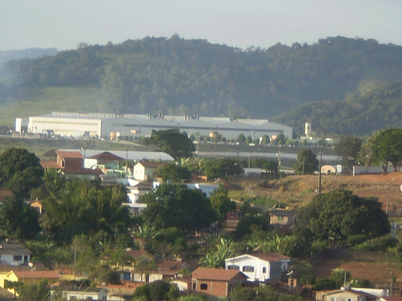 paisagem tipica | Guaranésia in Brazil