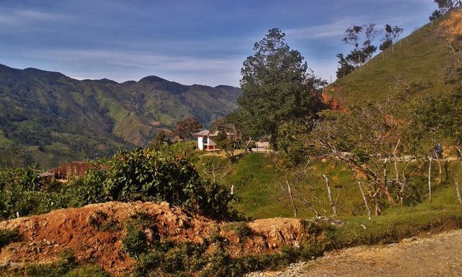 Image of San Isidro in Colombia
