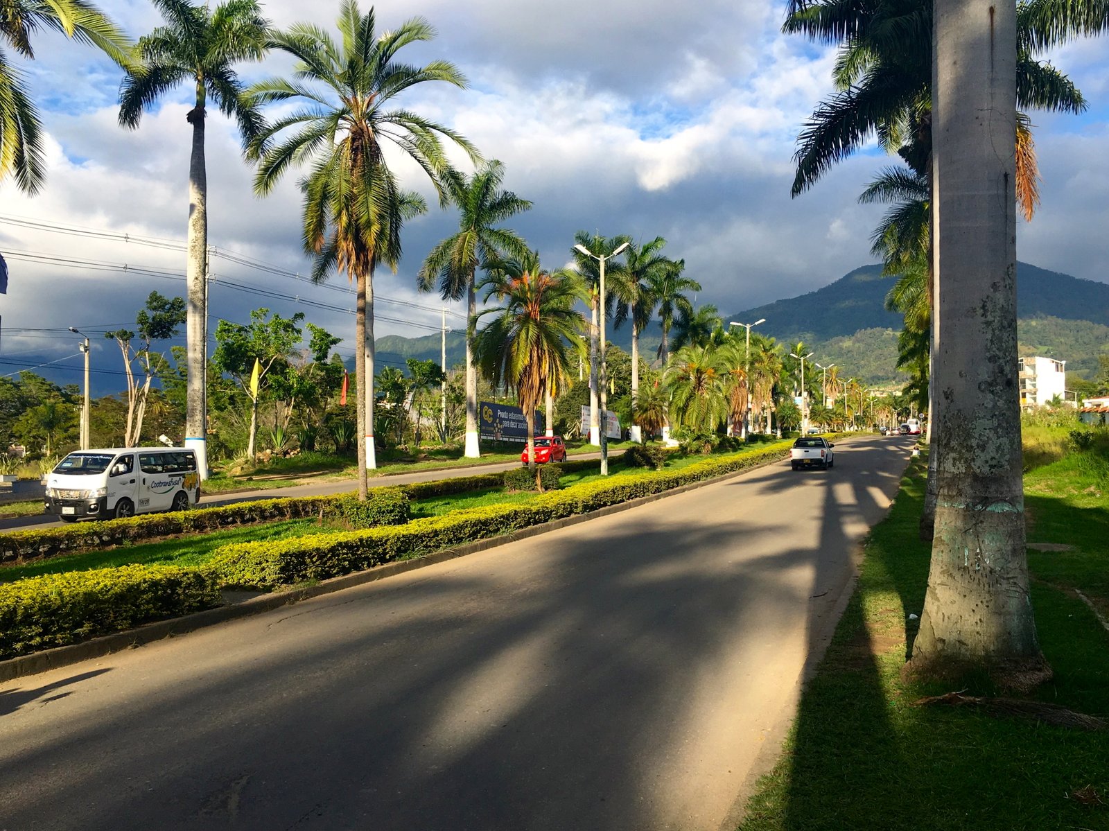 Avenida Las Palmas en Fusagasugá Cundinamarca | Fusagasugá in Colombia