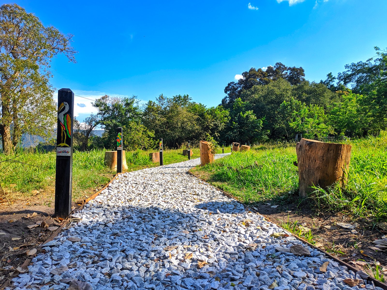 Sendero Ecológico Charca de Guarinocito | La Dorada in Colombia