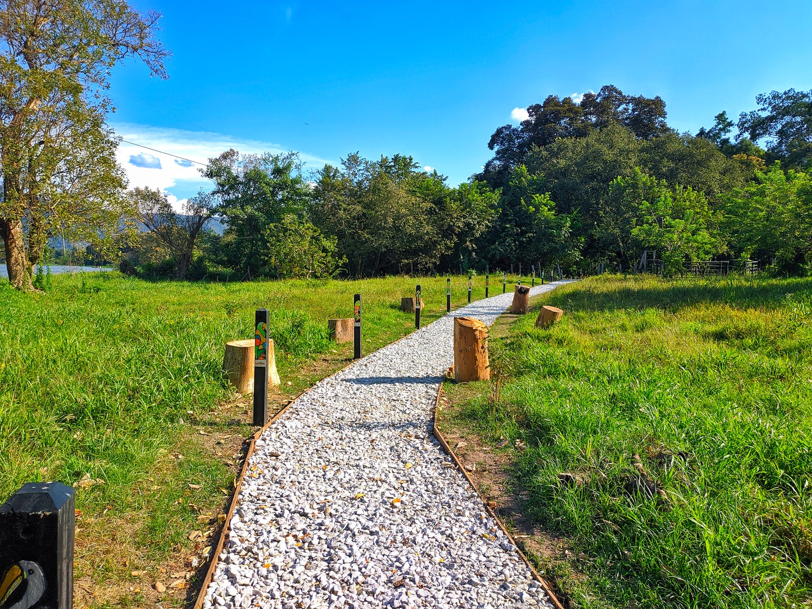 Sendero Ecológico Charca de Guarinocito | La Dorada in Colombia