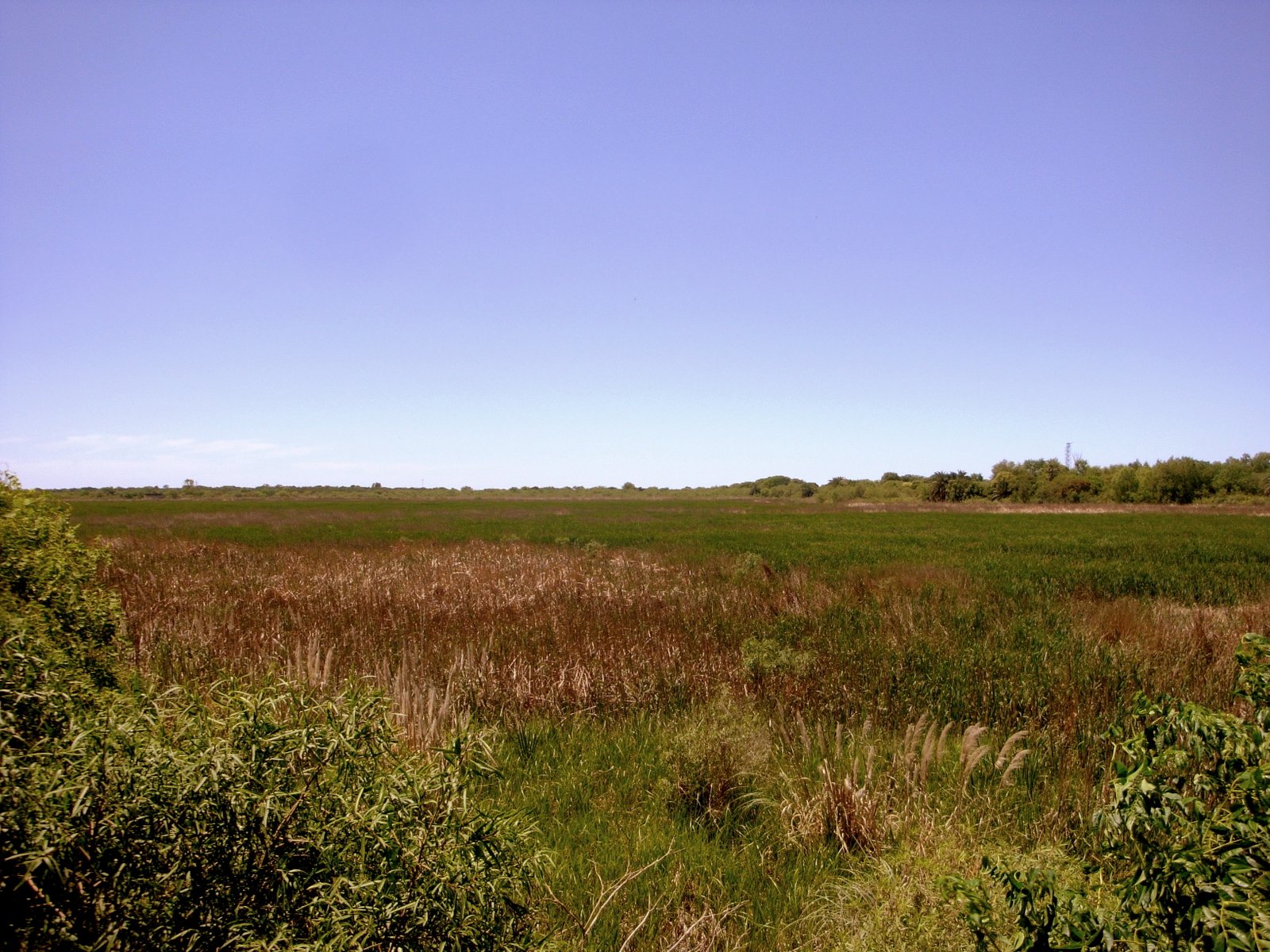 Costanera Sur, Buenos Aires. | Reserva Ecológica Costanera Sur in Argentina
