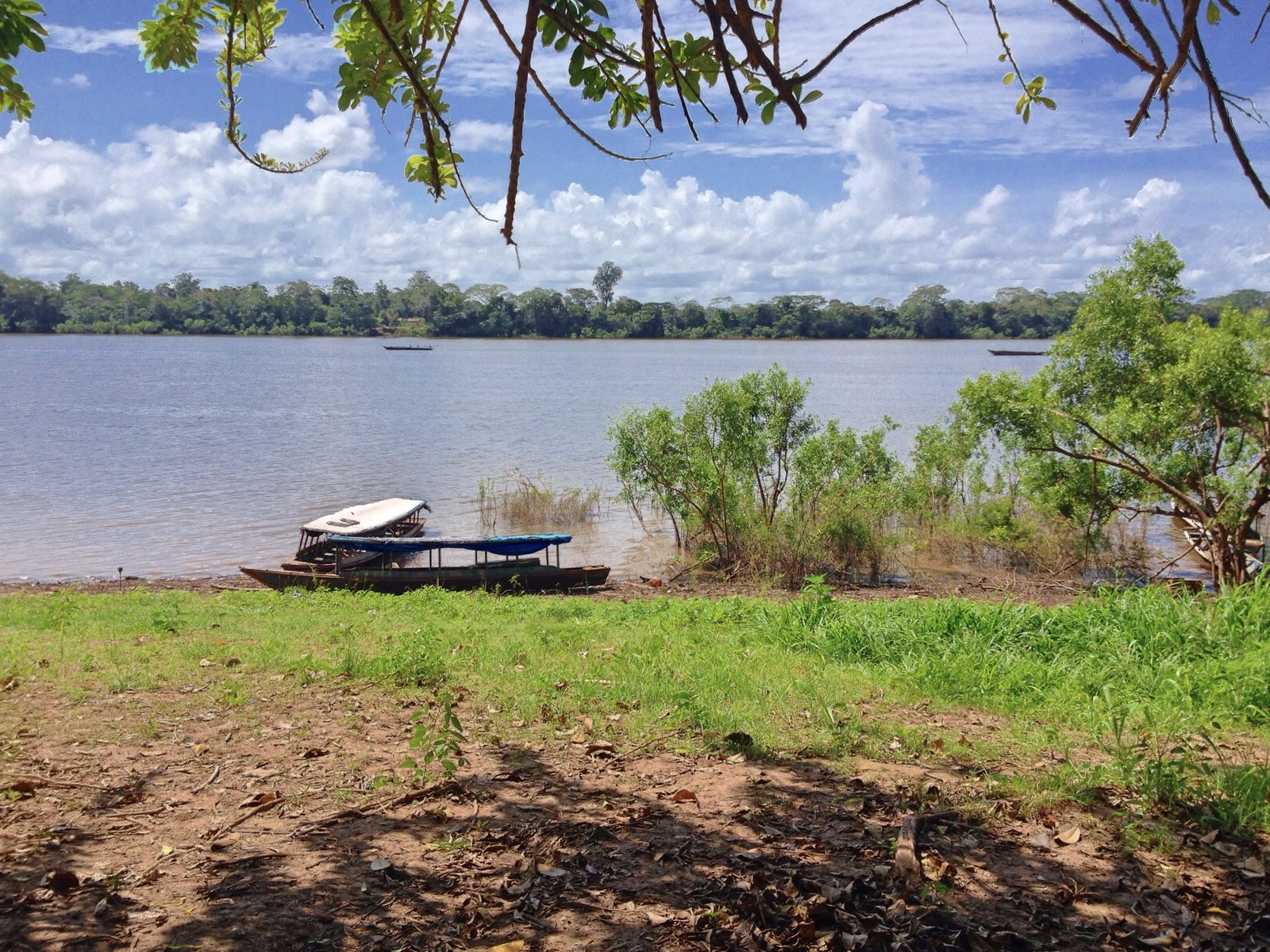Vista del lago Yarinacocha desde el puerto de la comunidad nativa San Francisco, alrededor de Pucallpa. | Pucallpa in Peru