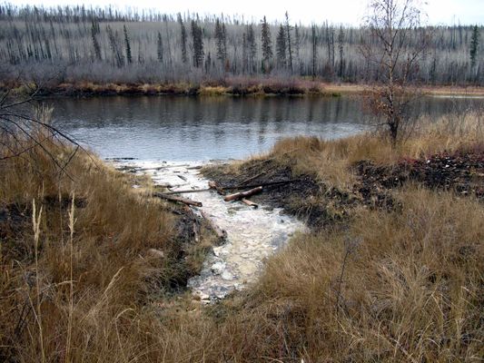Salt spring on the Clearwater River, northeast Alberta. | Clearwater River in Canada