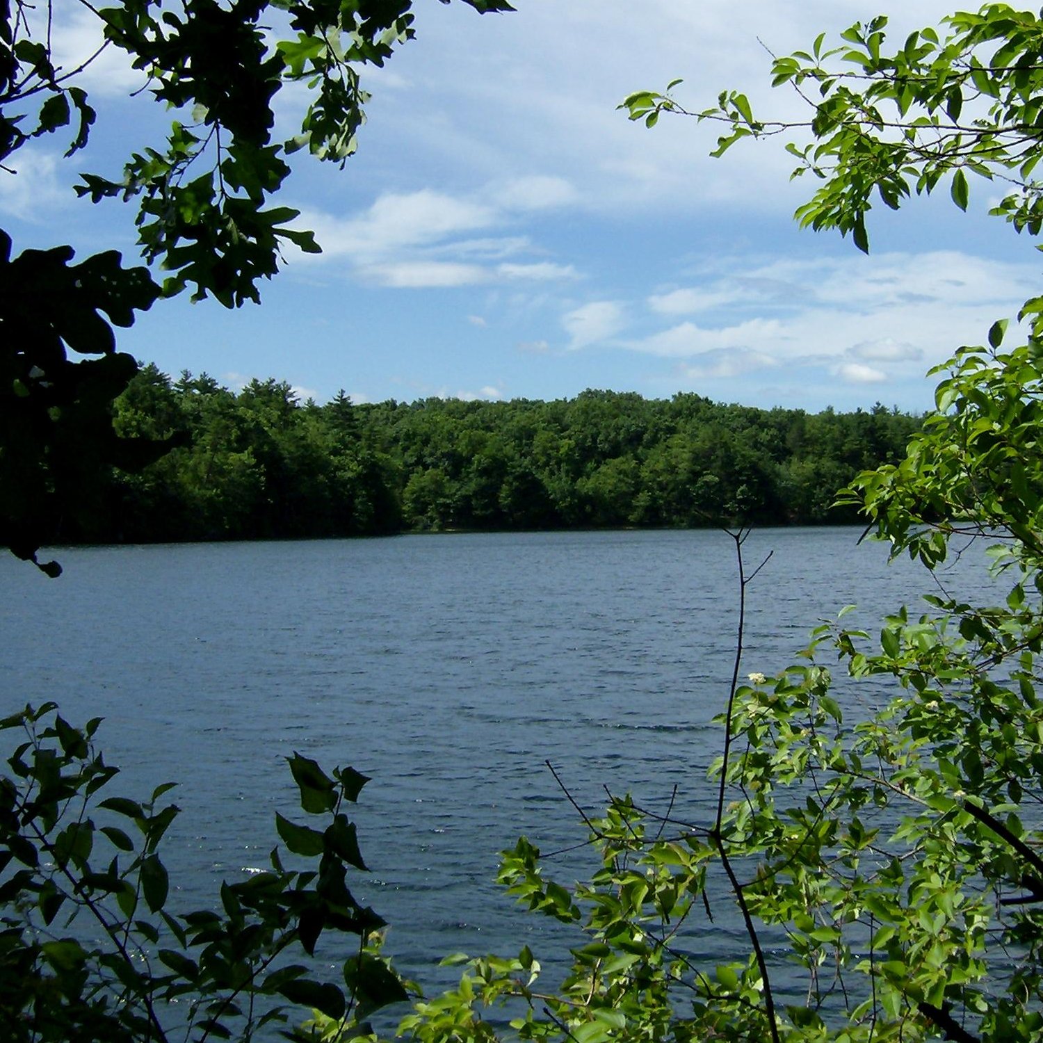 Walden Pond, Massachusetts on June 27, 2012.  This is a square crop of  by User:Cbaile19. | Clearwater River in Canada