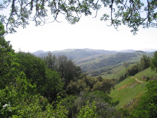 Image of Monte Bello Open Space Preserve in United States