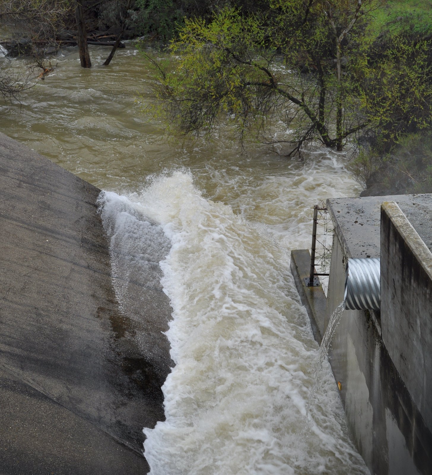 Lexington Reservoir (James J. Lenihan Dam) Spillway, emptying into Los Gatos Creek | Lexington Reservoir County Park in United States