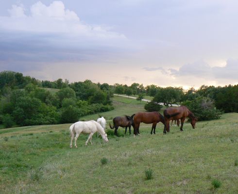 Image of Platte River State Park in United States