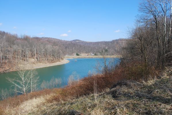 Image of Pedlar Wildlife Management Area in United States