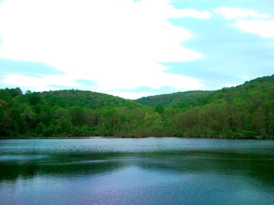 Image of George Richard Thompson State Wildlife Management Area in United States