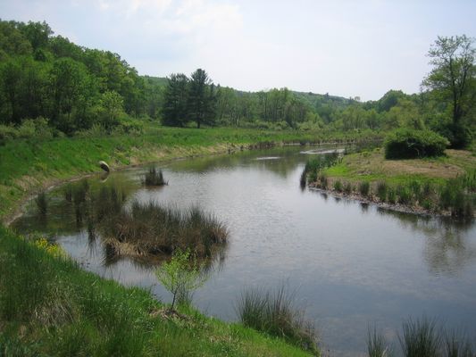 Image of Edwards Run Wildlife Management Area in United States