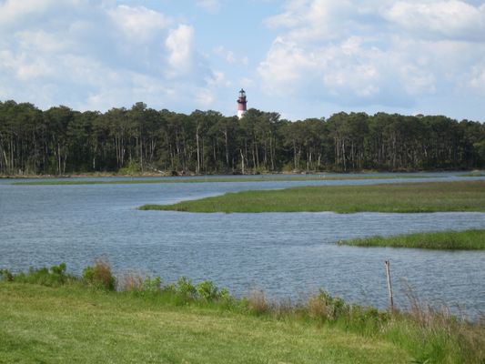 Image of Chincoteague National Wildlife Refuge in United States
