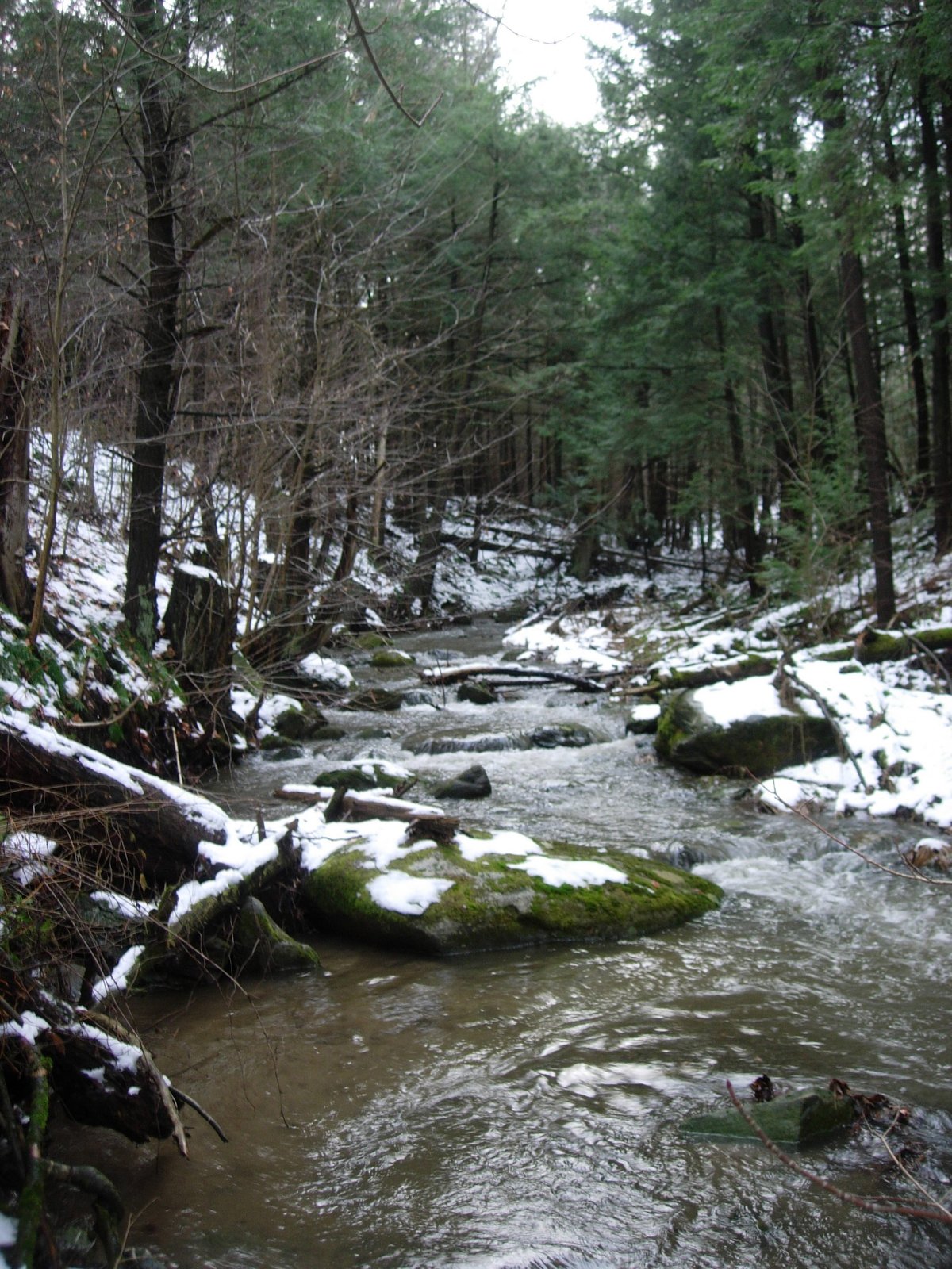 Small stream in Fairfield, Vermont, United States. | Fairfield in United States