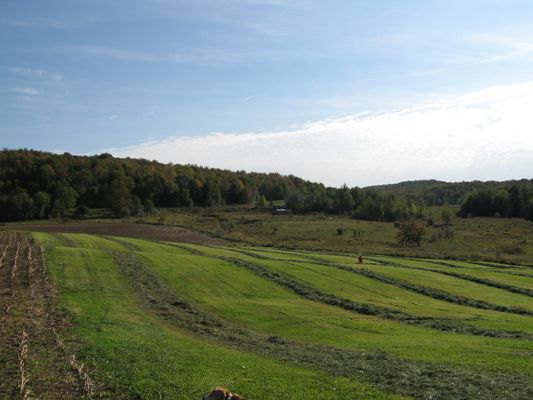 Image of Fairfield in United States