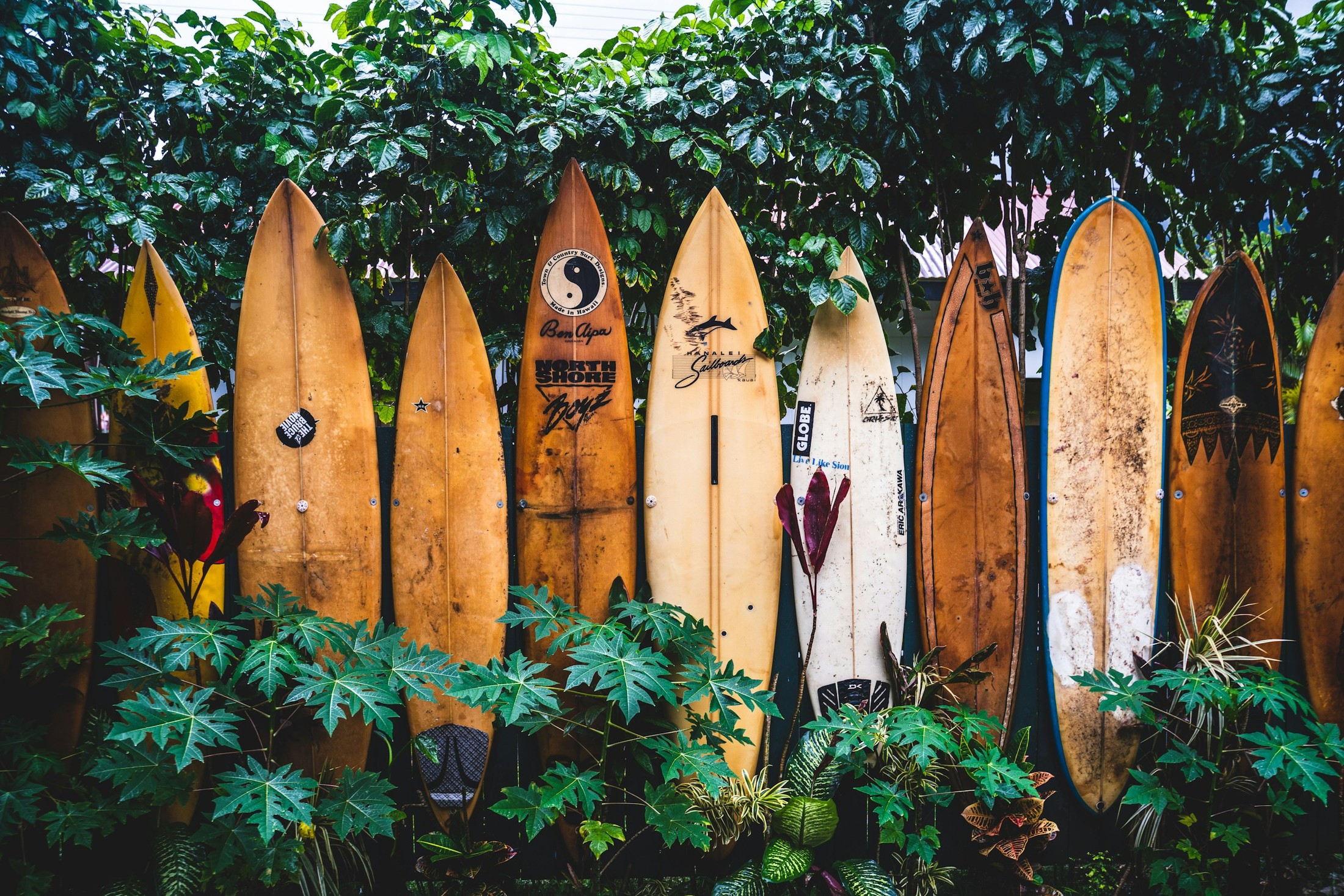 Surfboard Fence. | Hanalei in United States