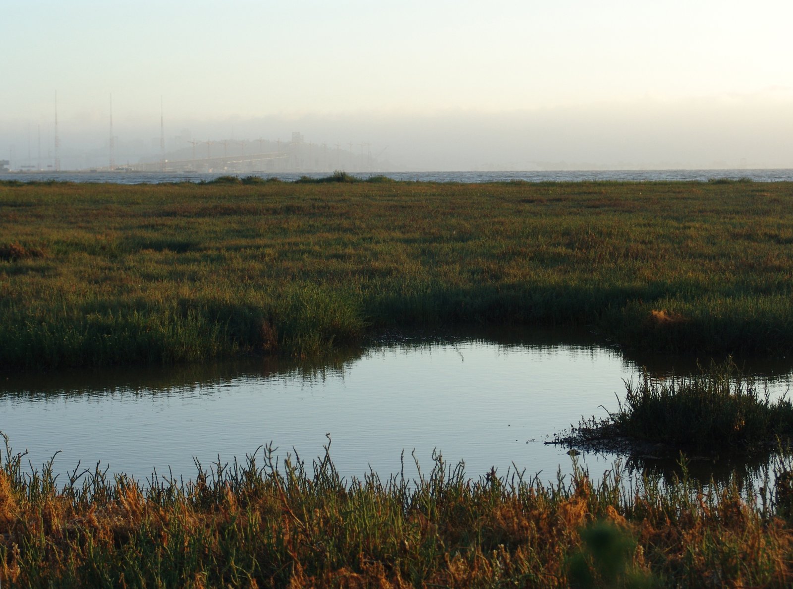 Emeryville mudflats distant San Francisco | Emeryville in United States