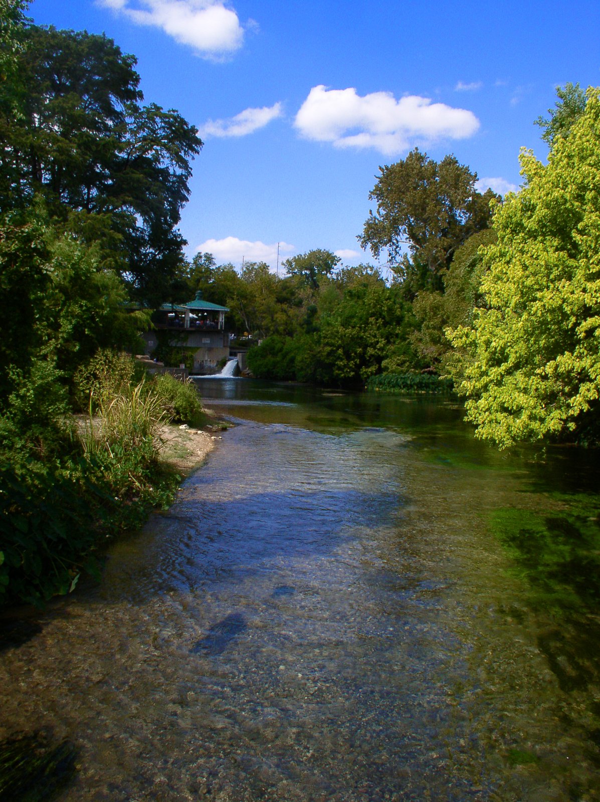 Downstream from the headwaters of the San Marcos River in San Marcos, Texas, USA. | San Marcos in United States