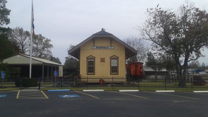 Image of Magnolia in United States