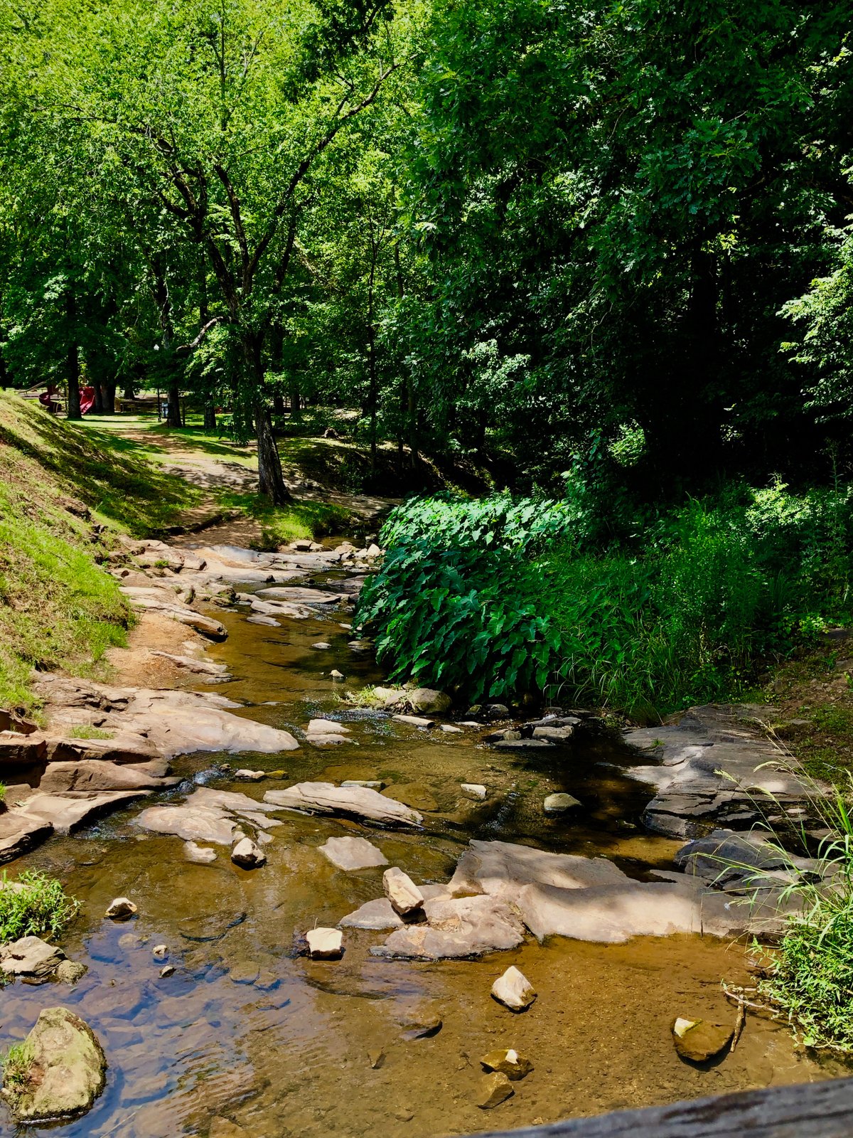 Creek at Municipal Park in Opelika AL | Opelika in United States