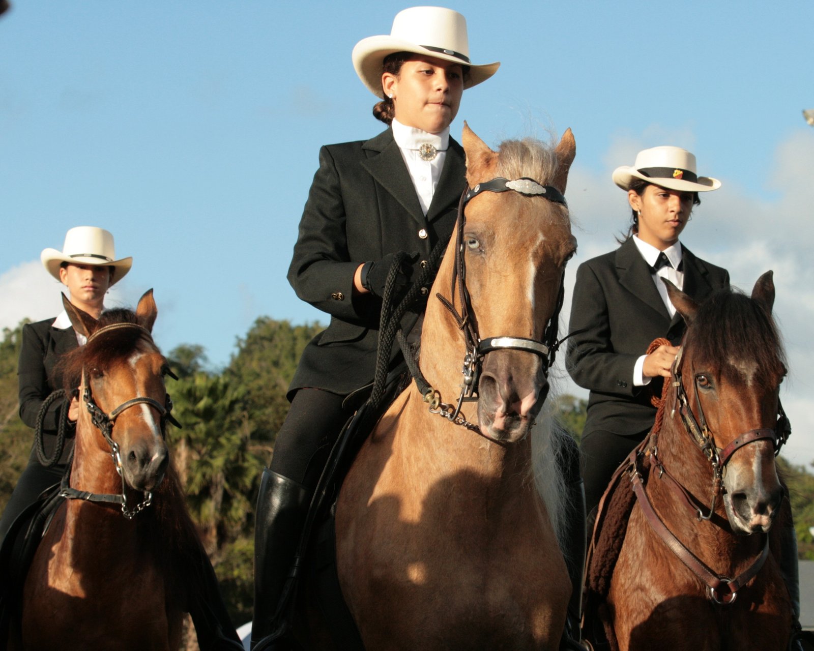 Paso Fino Horses in Equitation Class at the 2009 Copa La Candelaria in Manati, Puerto Rico, 2009 | Manatí in United States