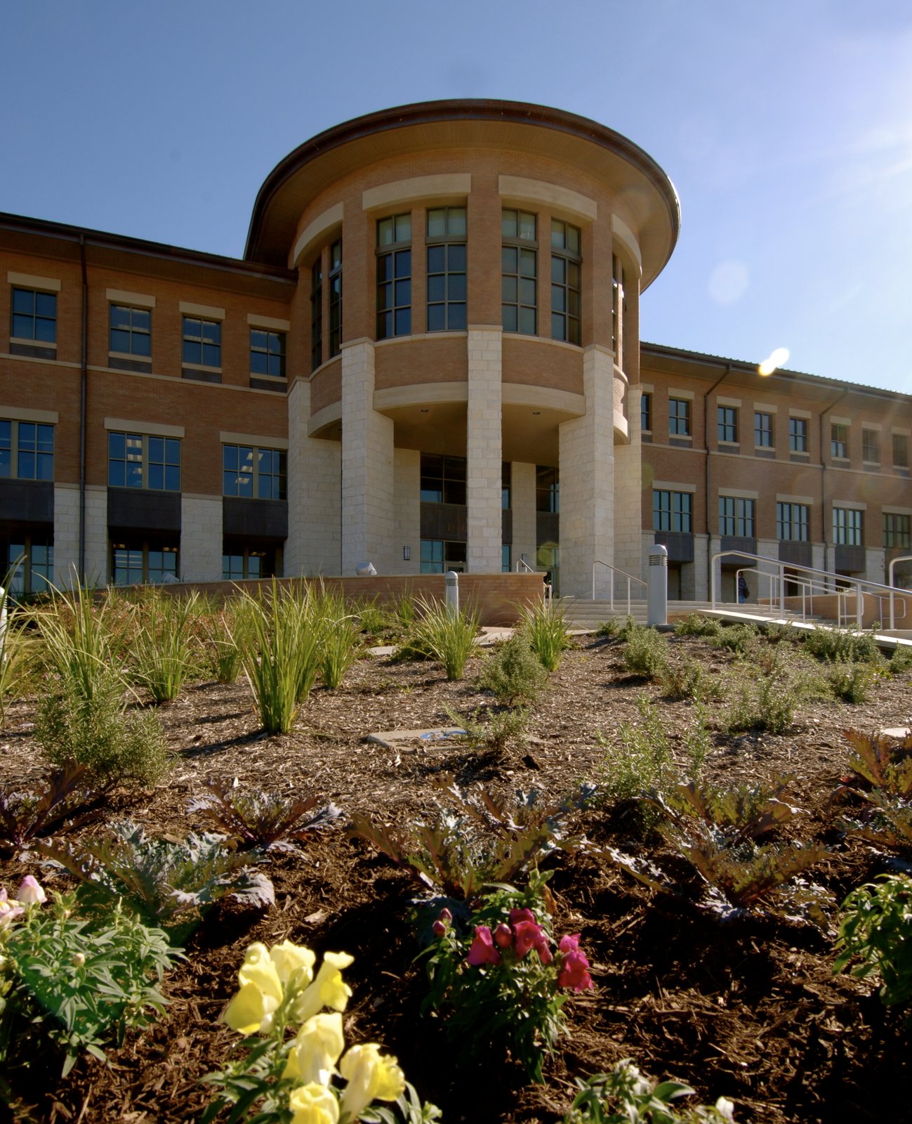 Photo of Texas State - Round Rock taken from flower bed. | Round Rock in United States
