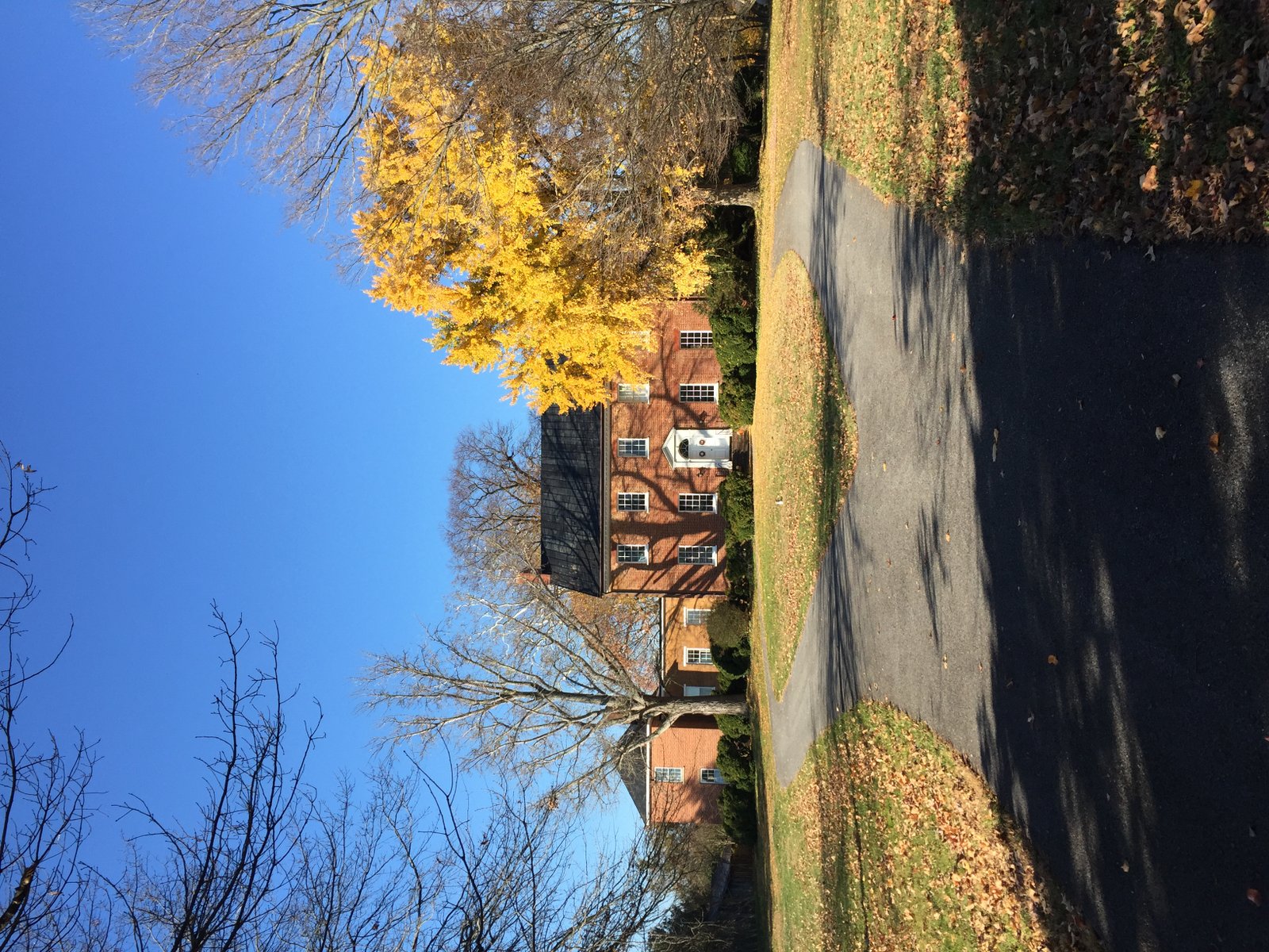 Image of Pleasant Prospect in Fall 2015 | Bowie in United States