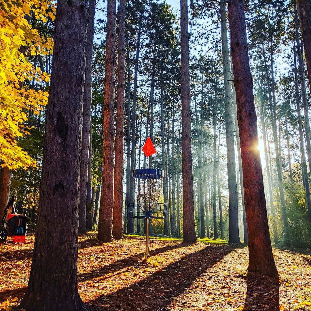 Photo by: https://www.instagram.com/blueribbonpines/ | Minneapolis in United States