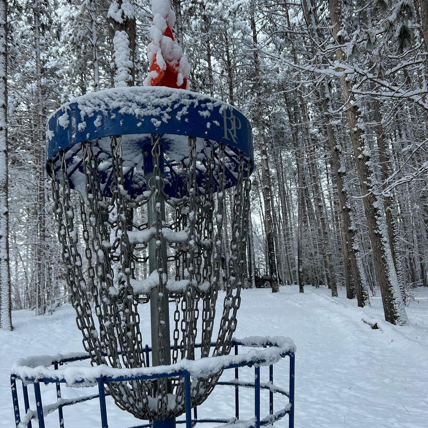 Photo by: https://www.instagram.com/blueribbonpines/ | Minneapolis in United States