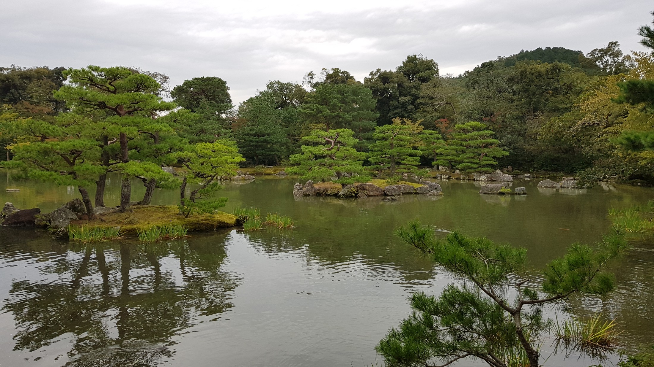 Kinkaku-ji - Golden reflections of history's gaze.