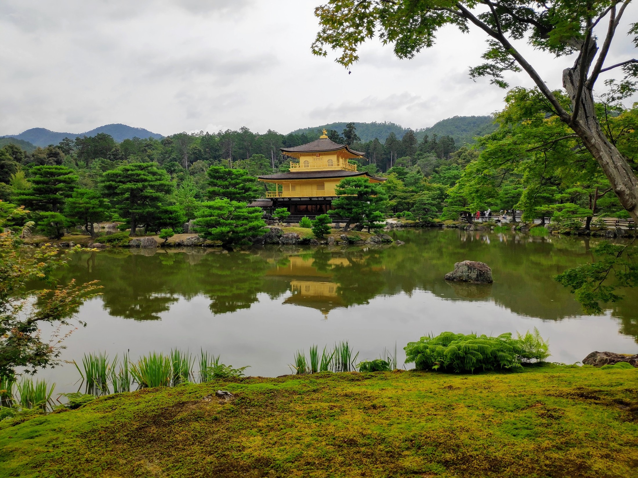 Kinkaku-ji - Golden reflections of history's gaze.