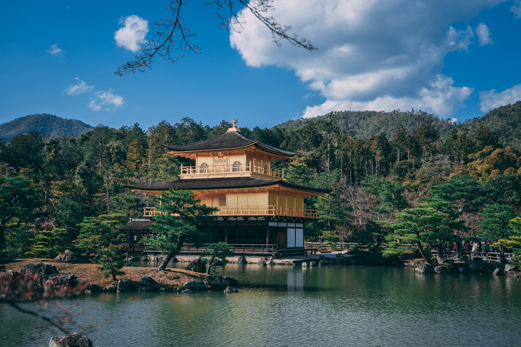 Kinkaku-ji - Golden reflections of history's gaze.