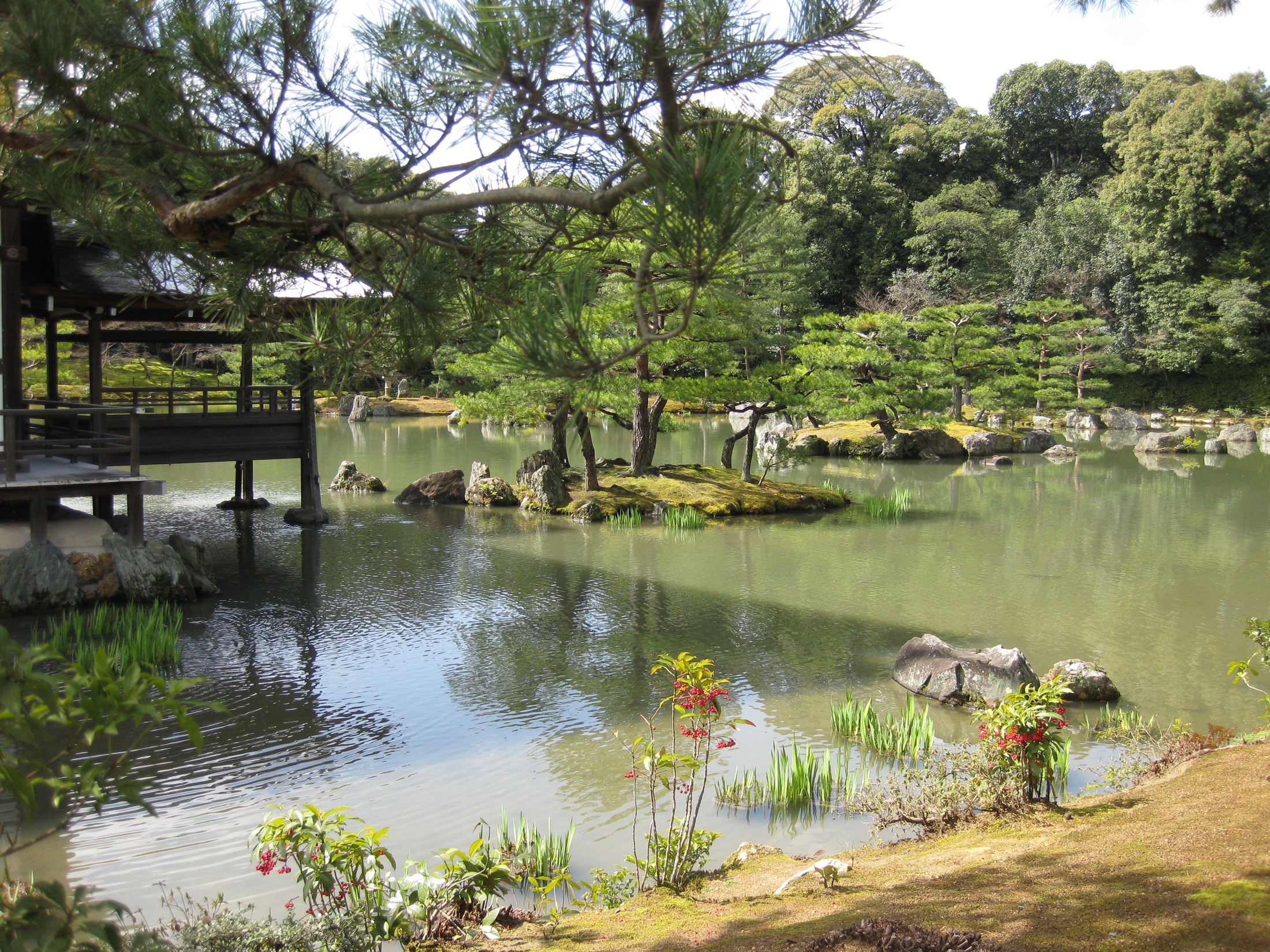Kinkaku-ji - Golden reflections of history's gaze.