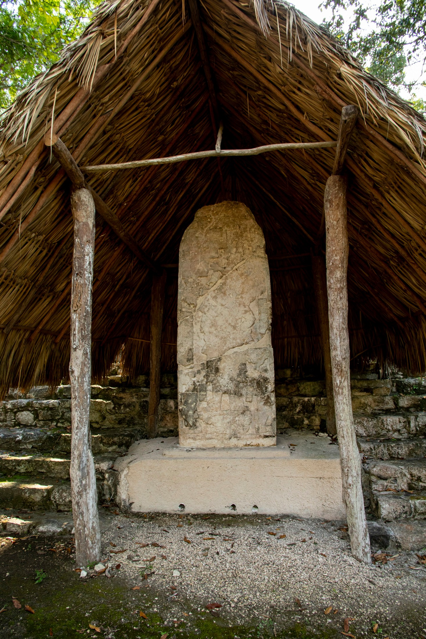 Maya Stella - Mexico | Coba in Mexico