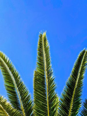 Image of Playa Blanca in Spain