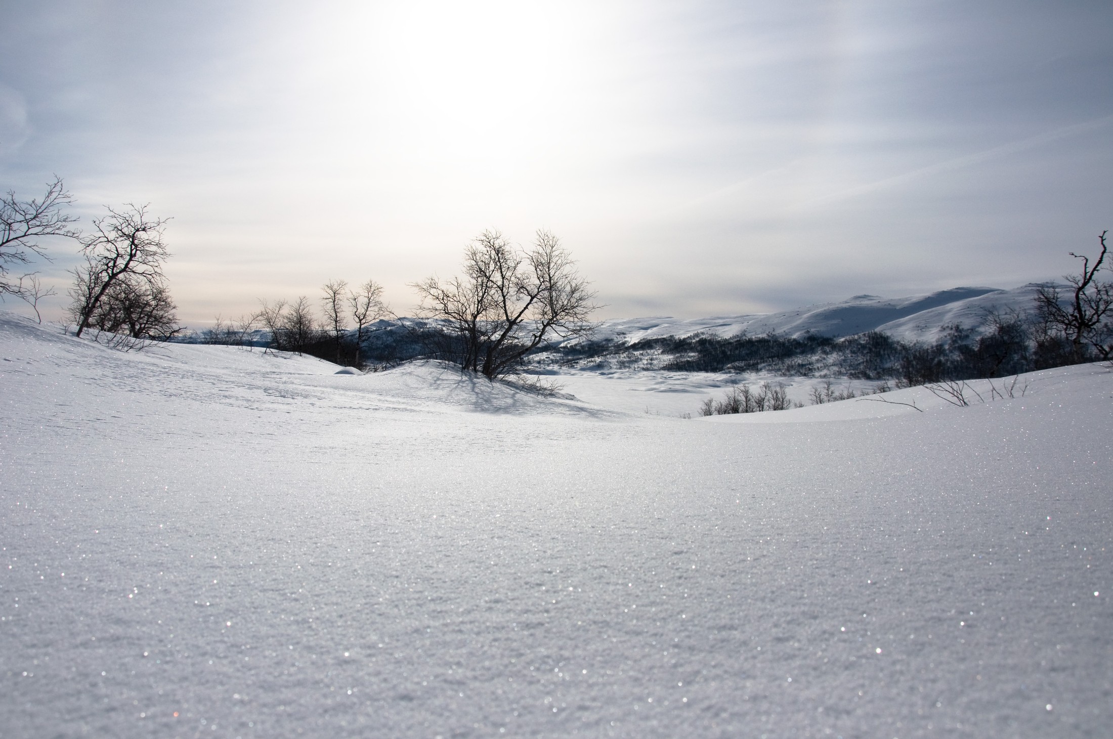 Haugastøl  - Snow Detail | Haugastøl in Norway