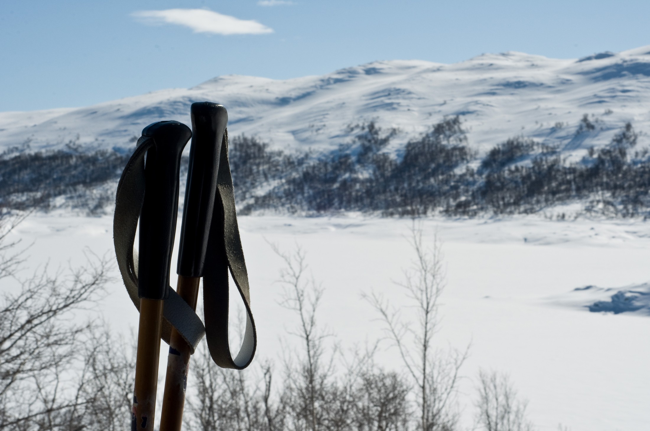 Haugastøl - South view | Haugastøl in Norway