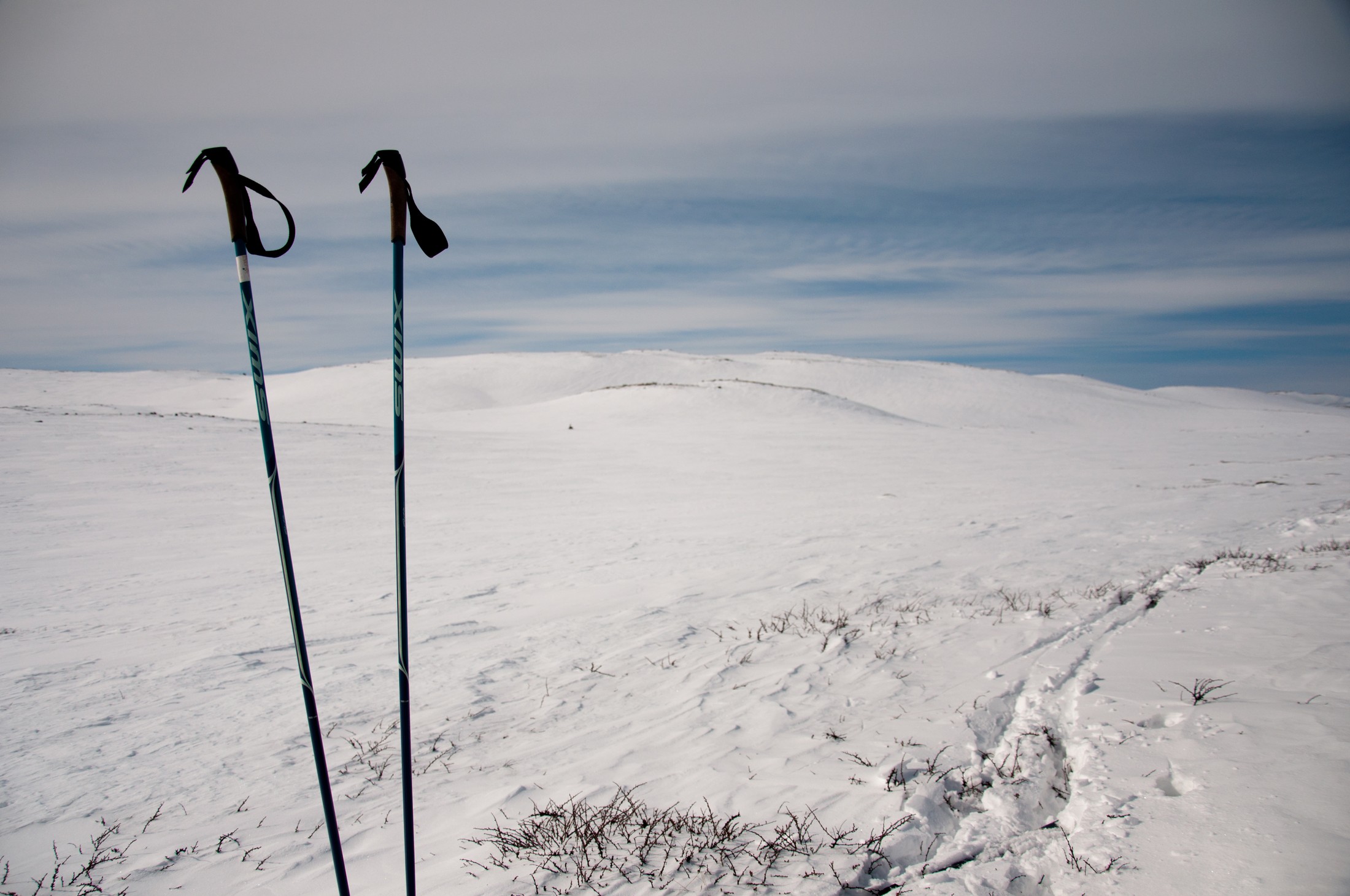 Ski poles at Hardangervidda | Haugastøl in Norway